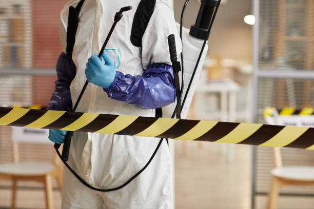 Professional Hoarding Cleanup technician working in Bartlett, TX